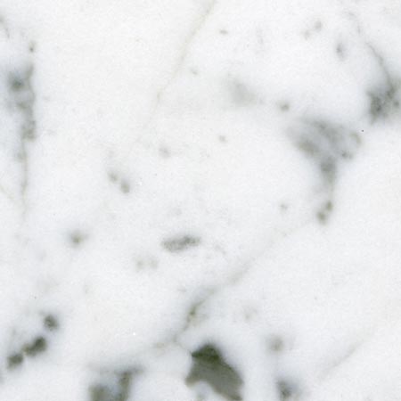 White Venatino